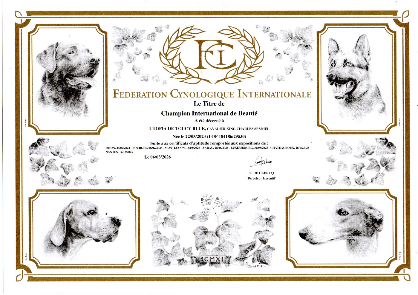 Champion International de beauté pour Utopia